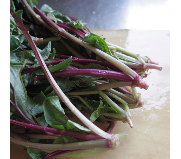 赤軸ホウレンソウ