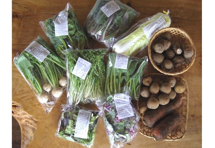 野菜セット
