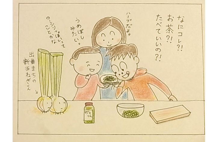 新玉ねぎイラスト