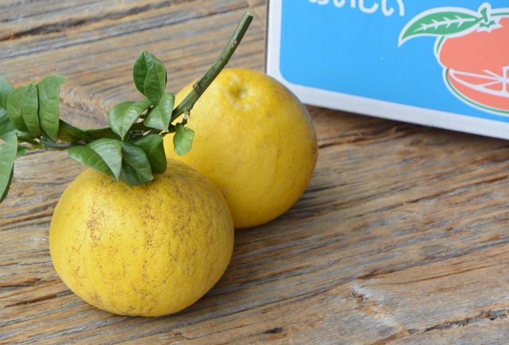 文旦を見た目もびっくり！素敵に盛り付けてみました