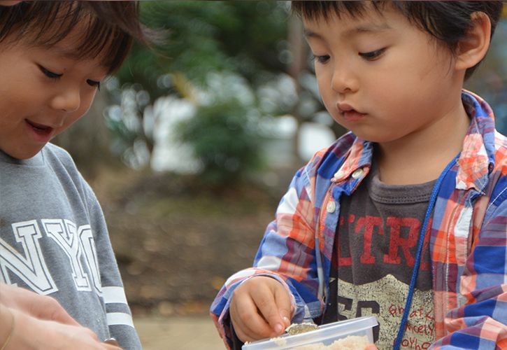 シナモンを入れる