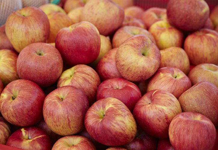 リンゴ見分け方