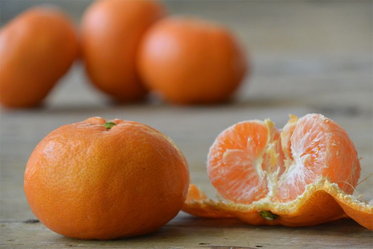 温州みかん食べごろ