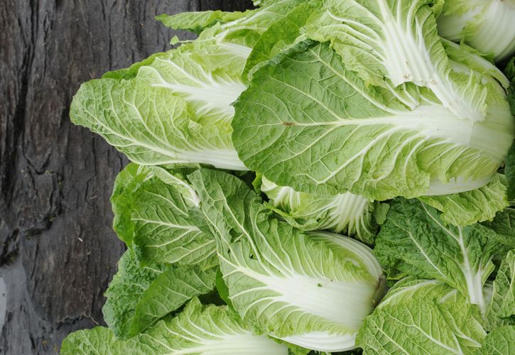 白菜の栄養