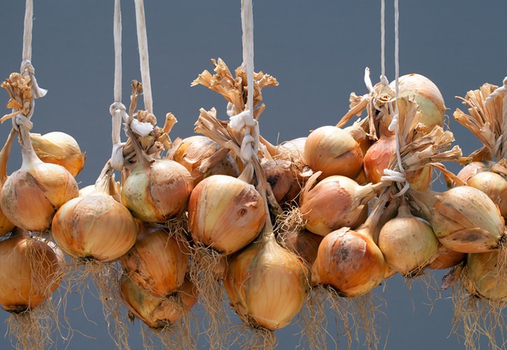 玉ねぎの保存方法