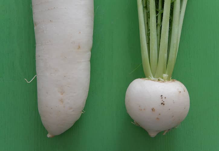 辛味大根と青首大根