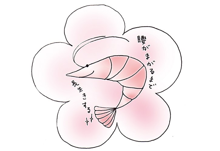 ちらし寿司の海老