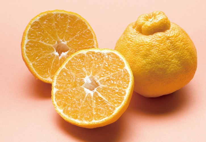 春みかんの品種