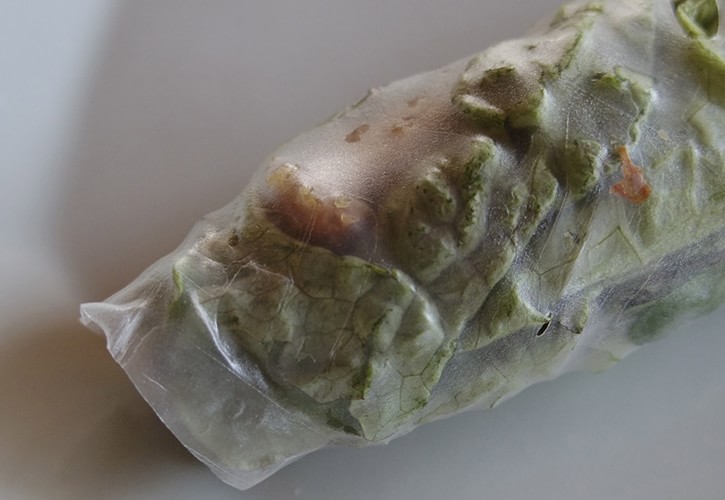 ライスペーパーと野菜