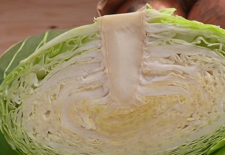 冬キャベツ断面