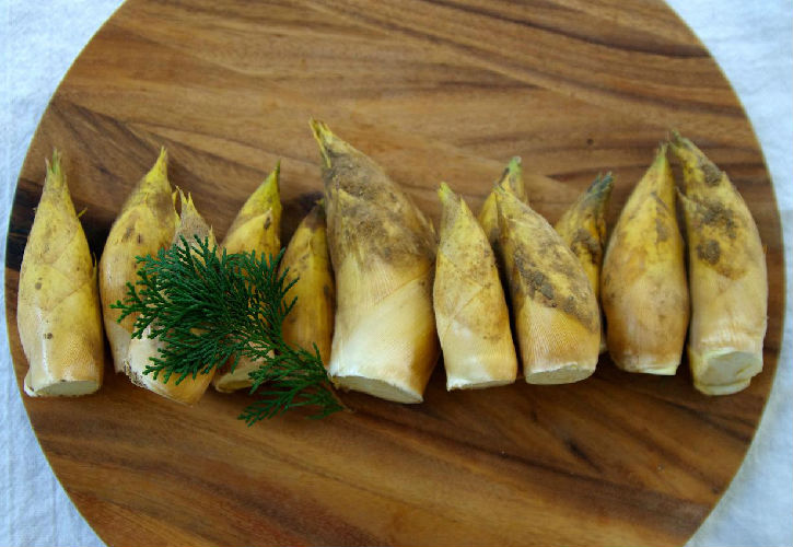 早堀りたけのこ