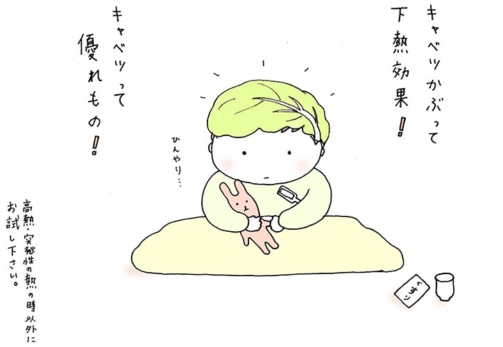 春キャベツと冬キャベツ