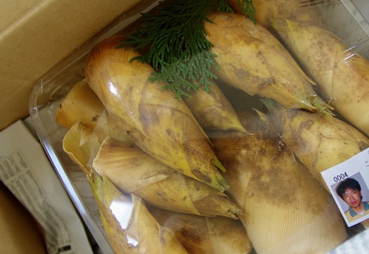 臼杵さんのたけのこ