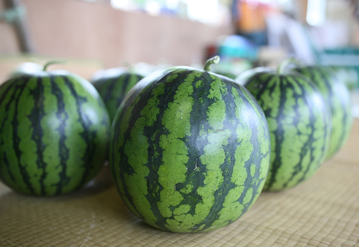 実が詰まったすいか