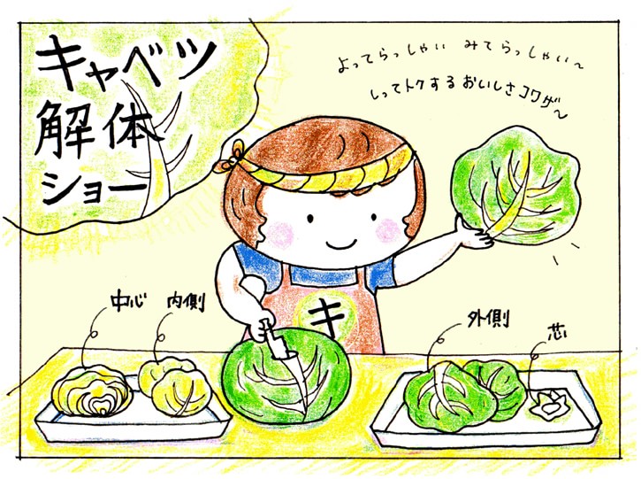 キャベツの部位による使い分け