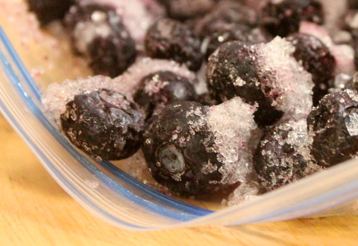 ブルーベリー保存