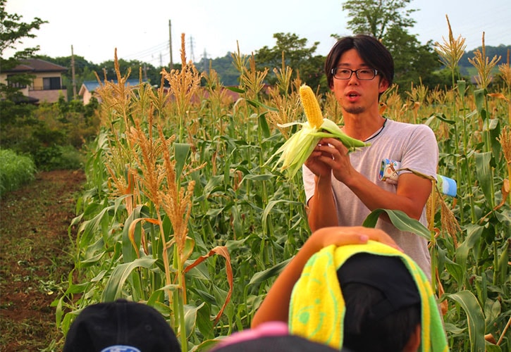 トウモロコシ