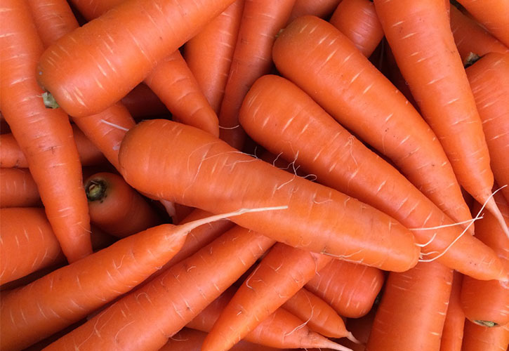 野菜の保存方法