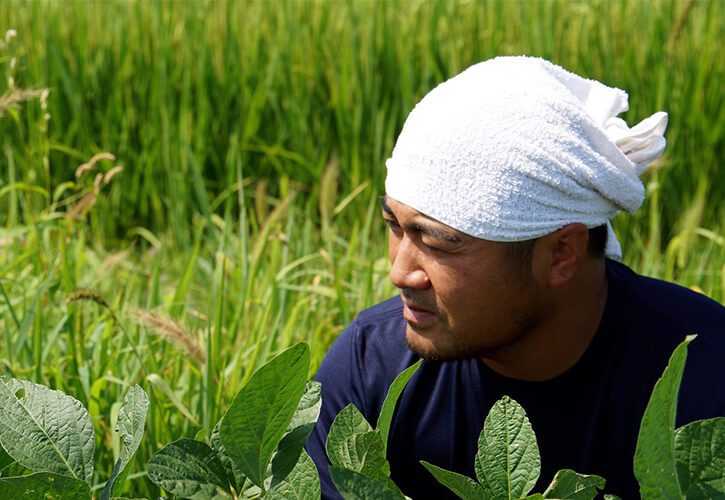 ちゃ豆農家仁助屋の渡部さん