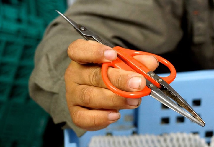 ぶどうを育てるのに使う鋏