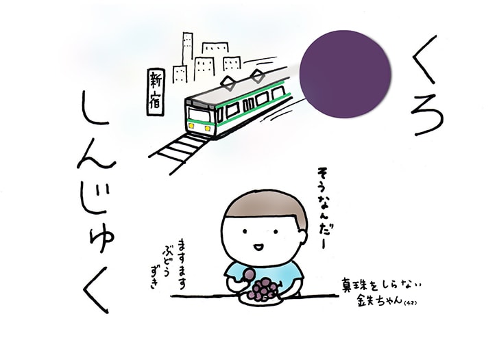 ピオーネの効能