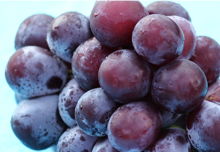 ピオーネの食べごろ