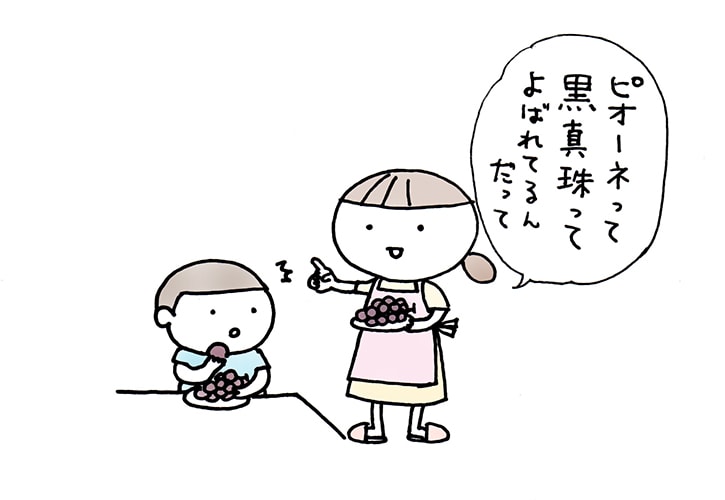 人気のぶどうピオーネ