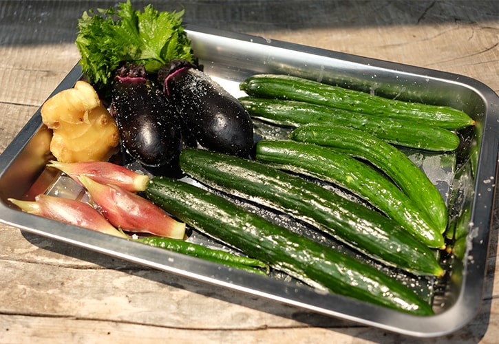 みょうがを食べすぎると馬鹿になる