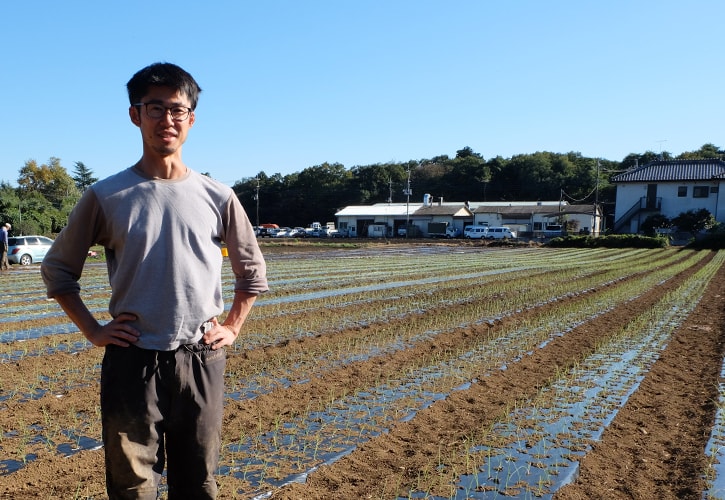 かぼちゃの品種