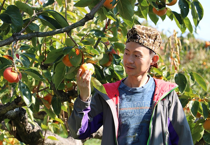 柿農家関谷さん