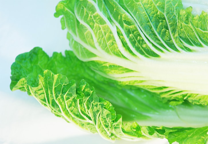 白菜の葉外側