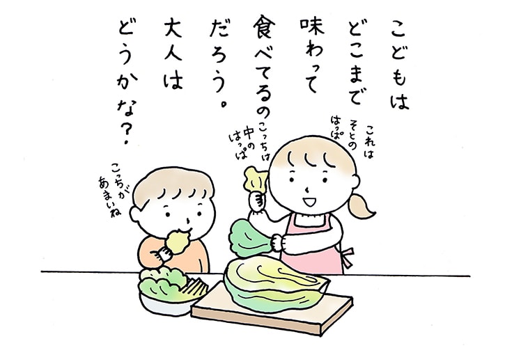 白菜の部位使い分け
