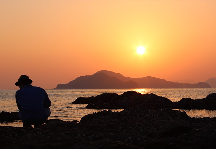 日本一のみかん島 愛媛中島への旅