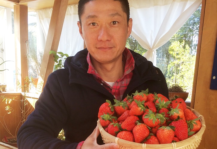 伊藤園さんのいちご