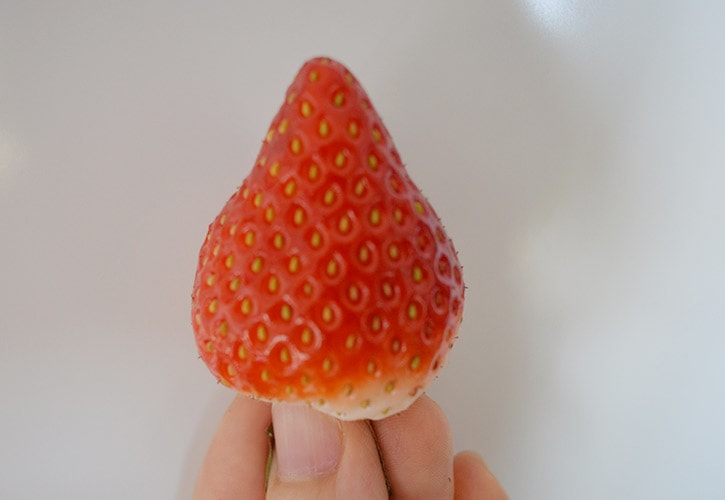 手に持ったいちご