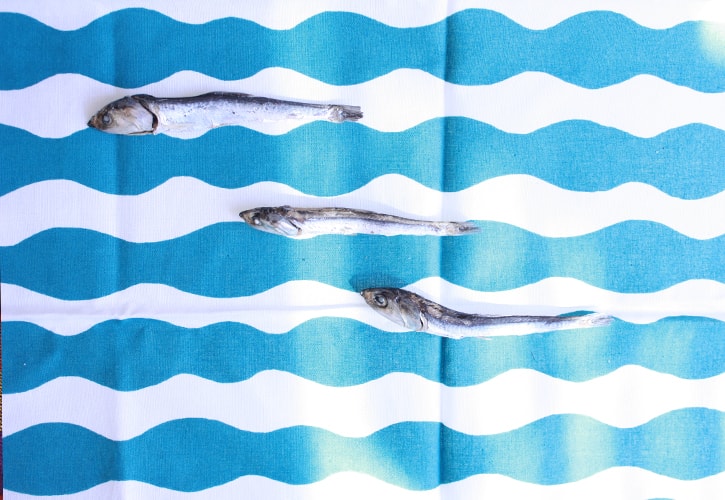 煮干しの使い方