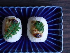 春の極み 山椒の若葉 木の芽