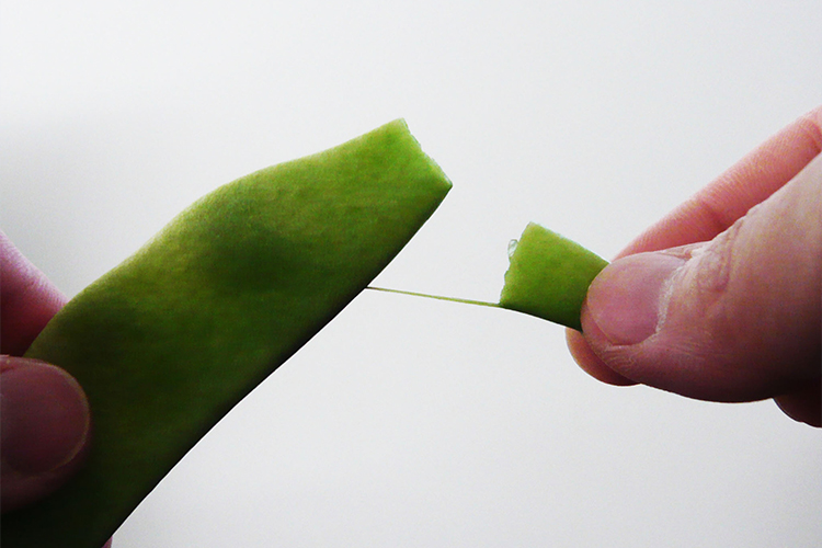 さやいんげんの筋