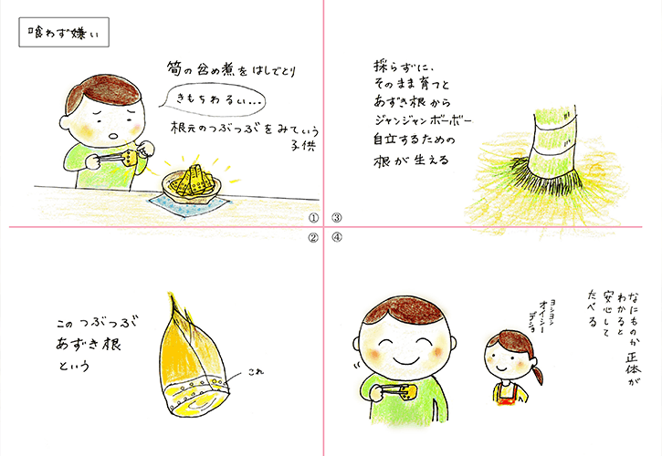 たけのこをお刺身にして食べる