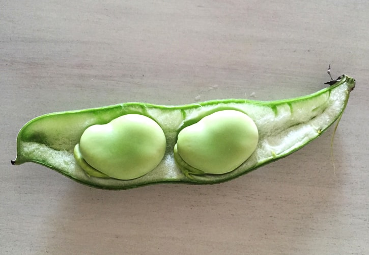 ソラマメのゆで方