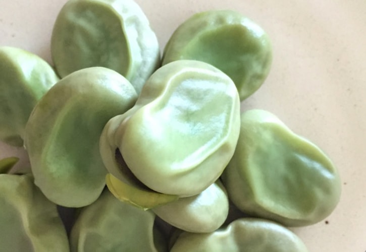 ソラマメをゆでる