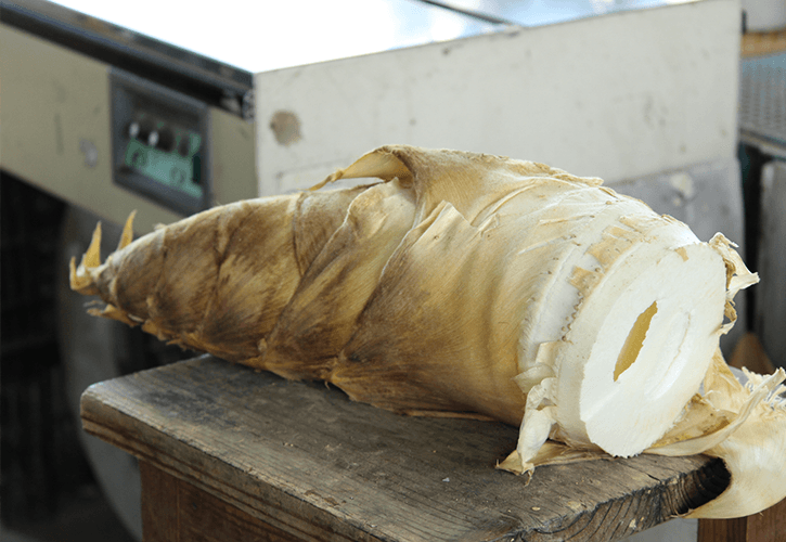 極上のたけのこ