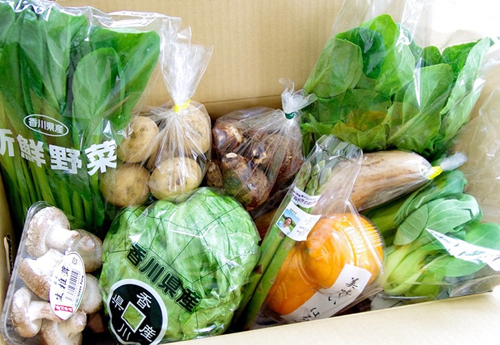 臼杵さんの野菜セット