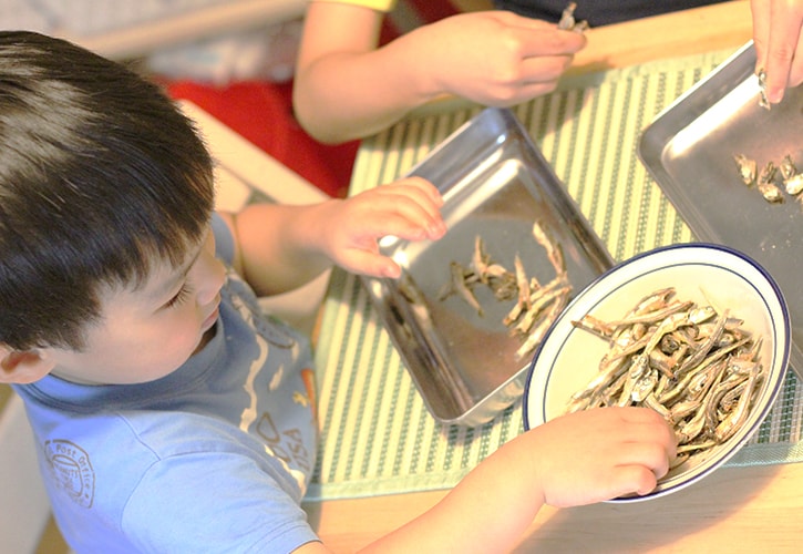 いりこの下処理を子供と