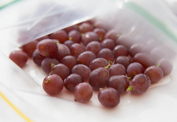 デラウェア冷凍保存