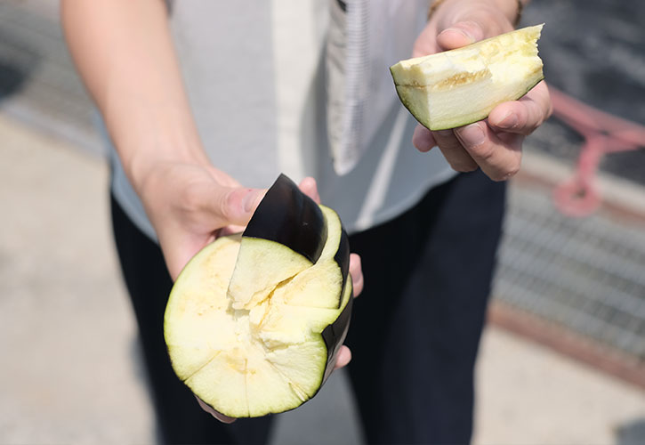 三豊茄子をその場で