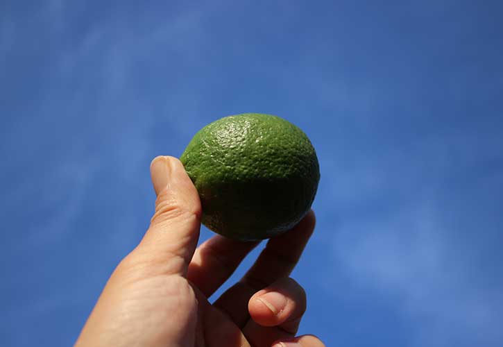 ライムの使い方