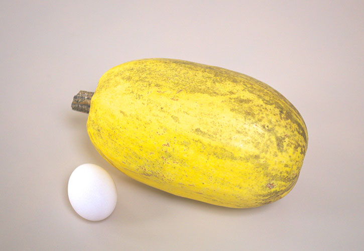 そうめんかぼちゃ