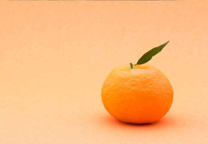 葉付きのみかんは美味しい