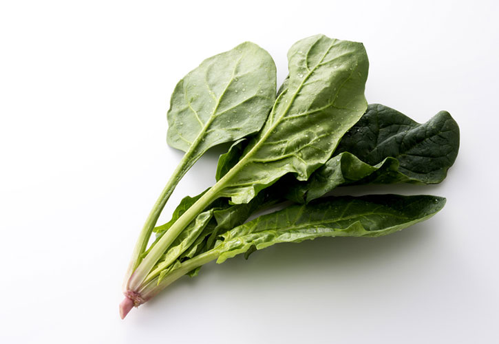 ほうれん草常夜鍋